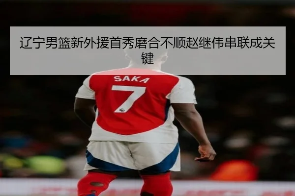辽宁男篮新外援首秀磨合不顺赵继伟串联成关键